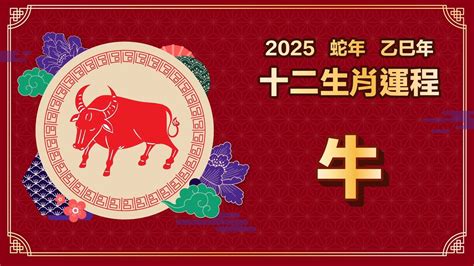 2025鼠年運程1972|2025 肖鼠流年運程 